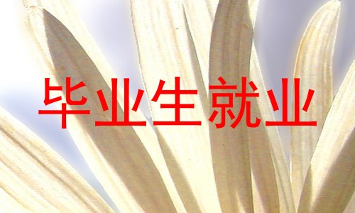 毕业生就业