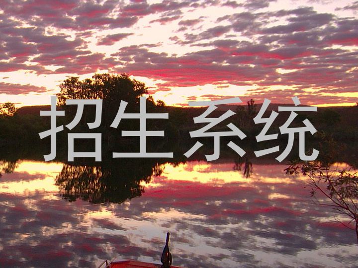 招生系统