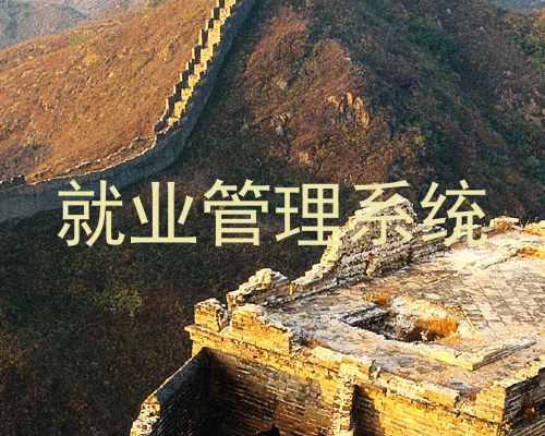 就业管理系统