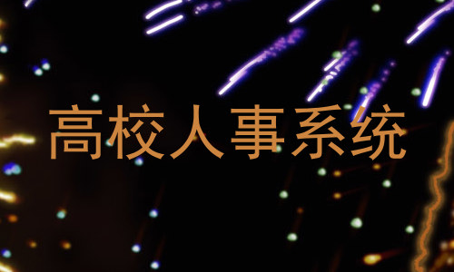 高校人事系统