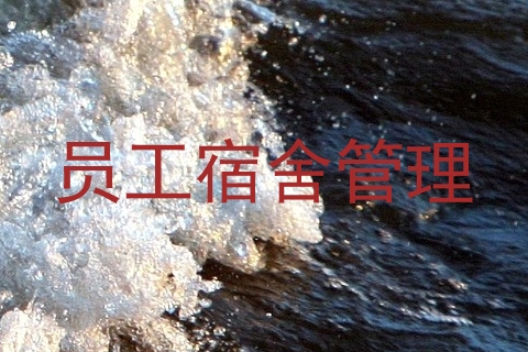 员工宿舍管理