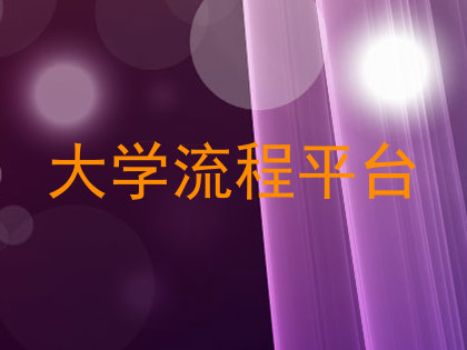 大学流程平台
