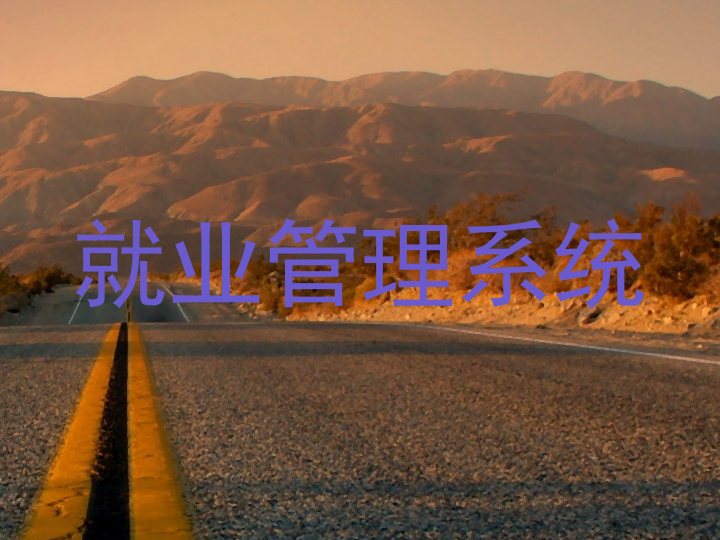 就业管理系统