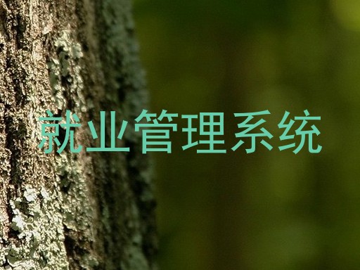 就业管理系统