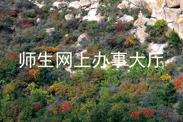 师生网上办事大厅