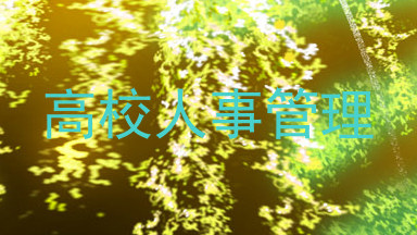 高校人事管理