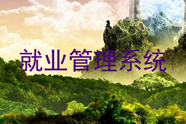 就业管理系统