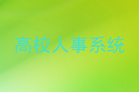 高校人事系统