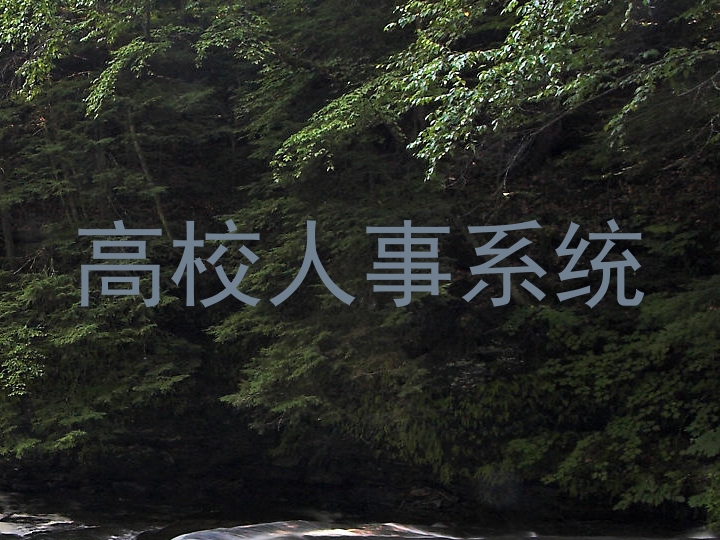 高校人事系统