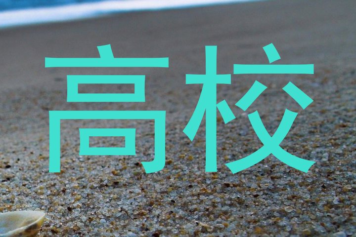 高校