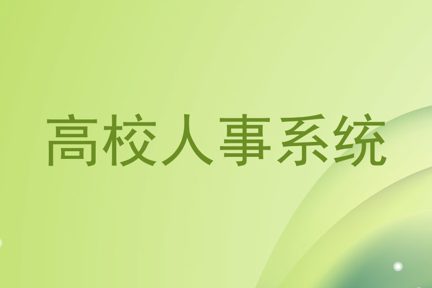高校人事系统