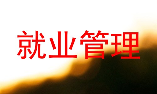 就业管理