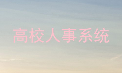 高校人事系统