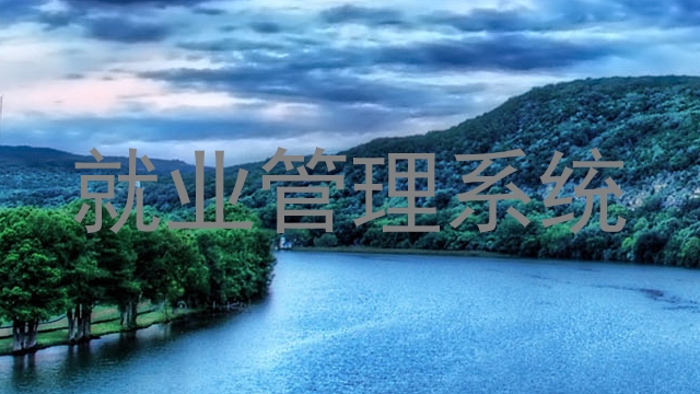 就业管理系统