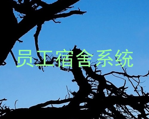 员工宿舍系统