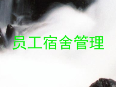 员工宿舍管理