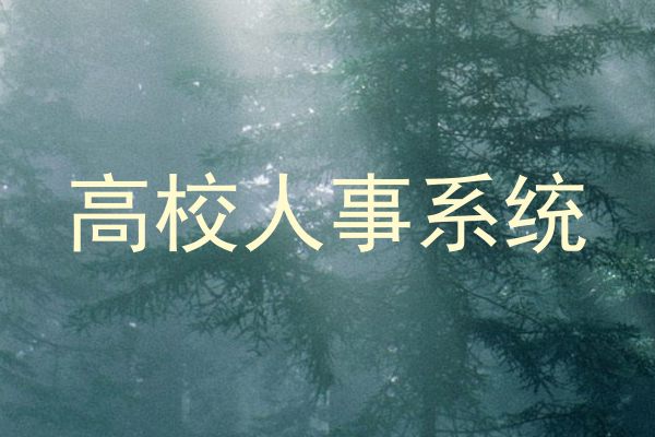 高校人事系统