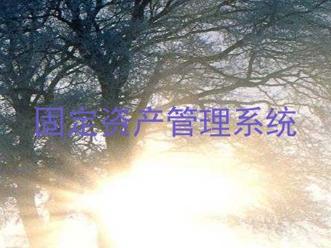 固定资产管理系统