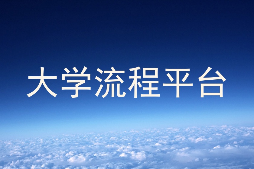 大学流程平台
