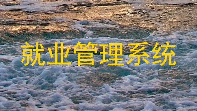 就业管理系统