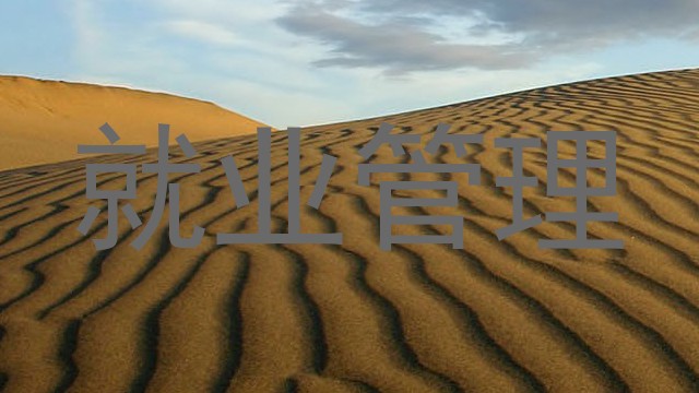 就业管理
