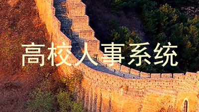 高校人事系统