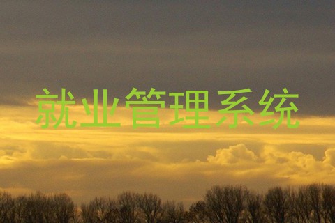 就业管理系统
