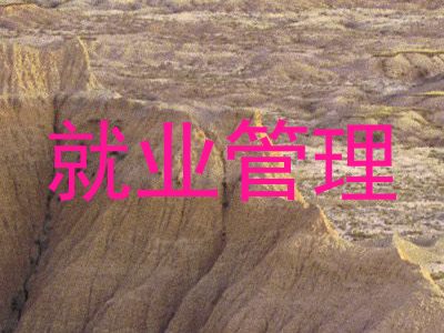 就业管理