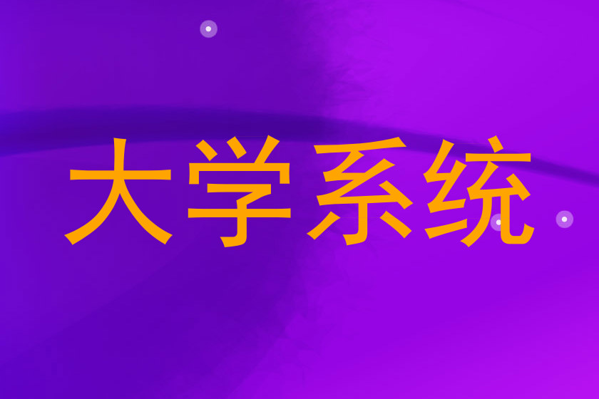 大学系统