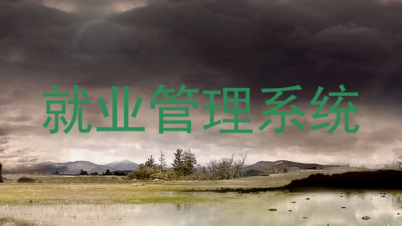 就业管理系统