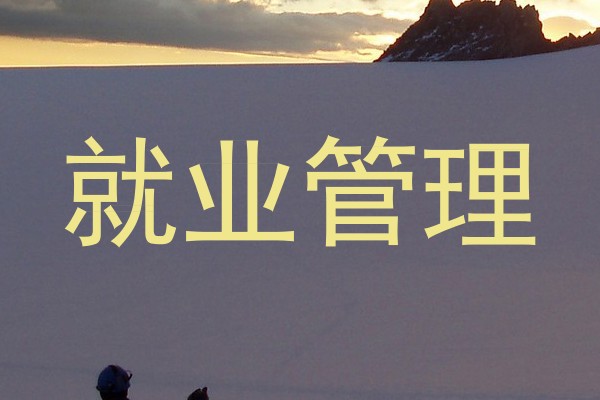 就业管理
