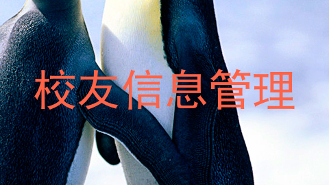 校友信息管理