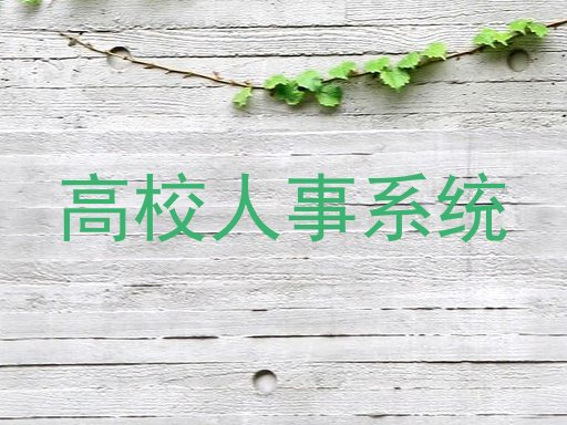 高校人事系统