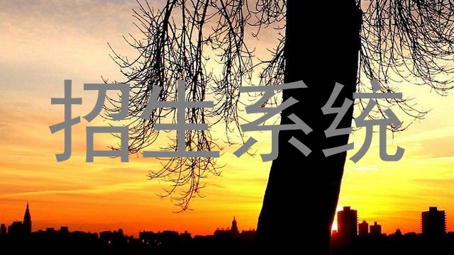 招生系统