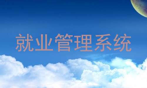 就业管理系统