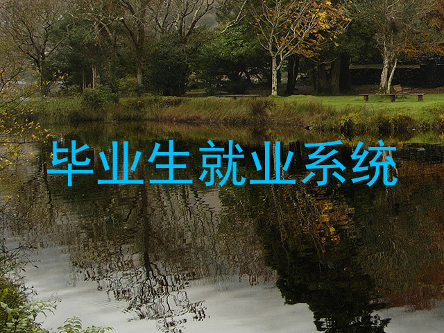 毕业生就业系统