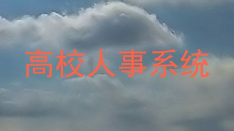 高校人事系统