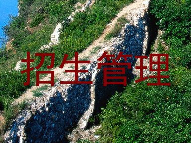 招生管理
