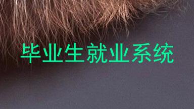 毕业生就业系统