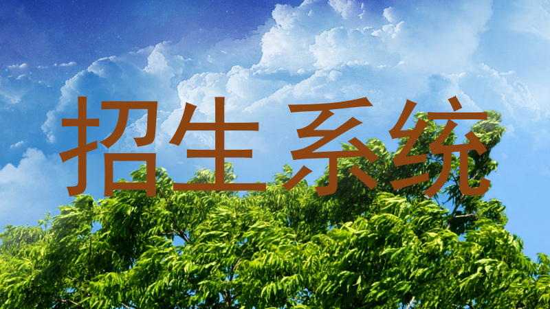 招生系统
