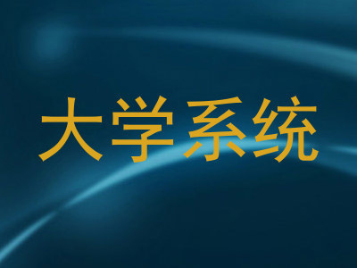 大学系统