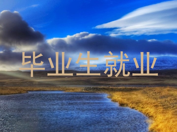 毕业生就业