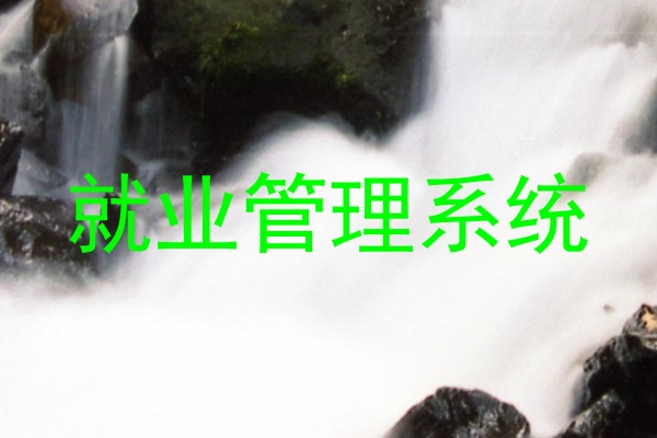 就业管理系统