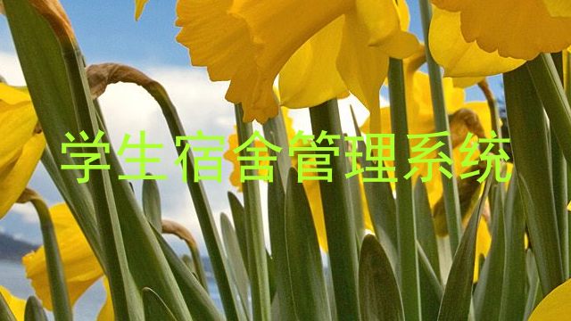 学生宿舍管理系统