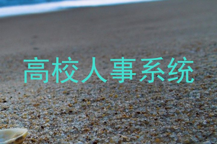 高校人事系统