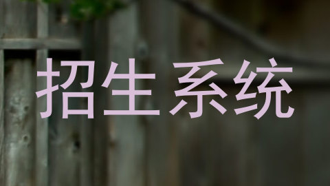 招生系统