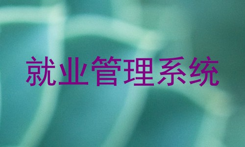 就业管理系统