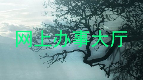 网上办事大厅