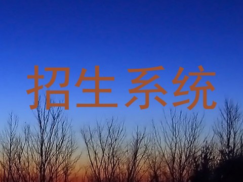 招生系统