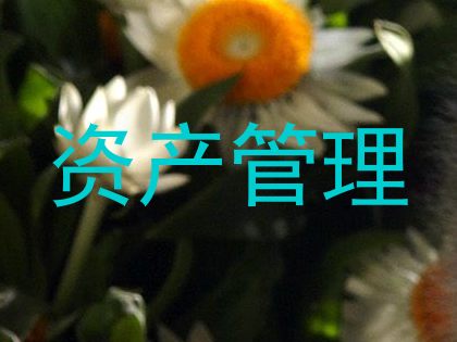 资产管理